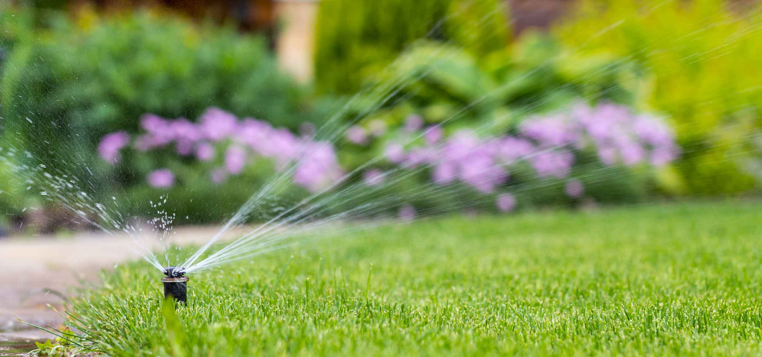 WaterSignal detects irrigation leak for Atlanta senior living community