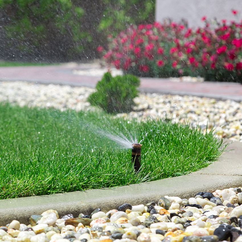 Summer Water Saving Tips to Help Beat the Heat